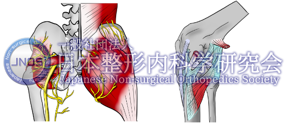 第26回 Jnos ウェビナー コンプライアンス向上 コンプラセミナー4 解剖イラストの作図技法1 Jnosのオリジナルイラスト頒布について 一般社団法人 日本整形内科学研究会