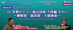 第28回 JNOS ウェビナー [治療技術分野] エコーセミナー6：Dr.永野のエコー描出技術③ 下肢編 その1～腰殿部・鼠径部・大腿後面～