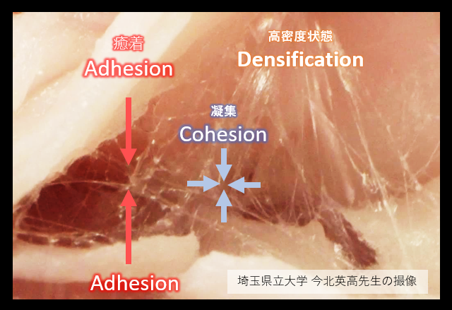 CD 表示部 一部 表示 優しい 拡大画像あり その3
